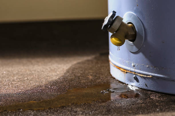 Best Water damage cleanup near me  in Auberry, CA