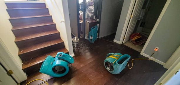 Best Local water damage restoration  in Auberry, CA