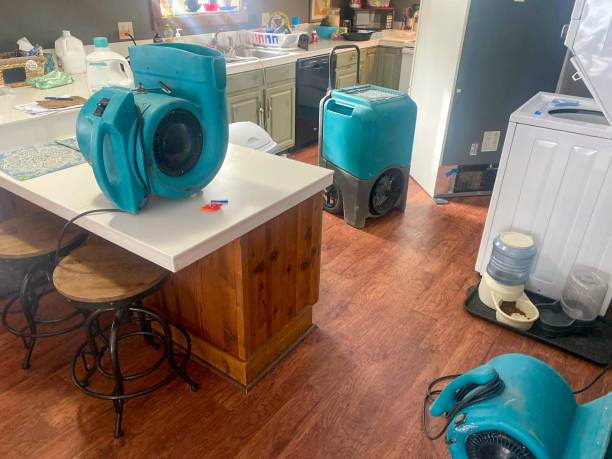 Best Water damage restoration cost  in Auberry, CA