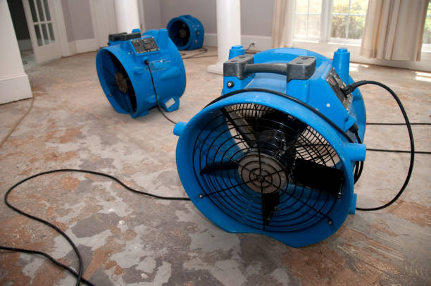 Best Mold removal after water damage  in Auberry, CA