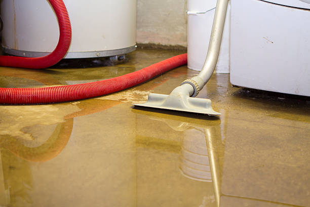 Best Water damage repair service  in Auberry, CA