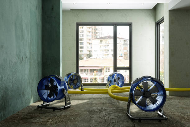 Best Water damage restoration near me  in Auberry, CA