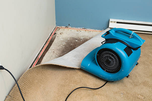Best Ceiling water damage repair  in Auberry, CA